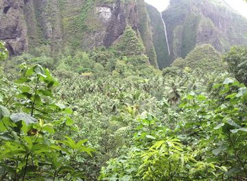 french-polynesia/nuku-hiva/attraction/vaipo-waterfall