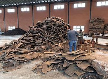 portugal/faro/attraction/eco-cork-factory-eco-fabrica-de-cortica-francisco-carrusca