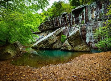 Bell Smith Springs Scenic Area