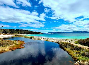 australia/tasman-peninsula/attraction/painted-cliffs