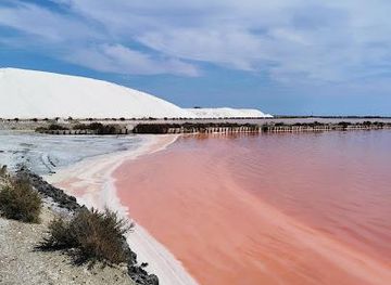 france/montpellier/attraction/salin-d-aigues-mortes