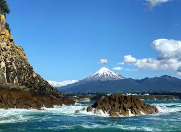 new-zealand/new-plymouth/attraction/chaddy-s-charters