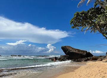 sri-lanka/matara-district/attraction/the-frog-rock