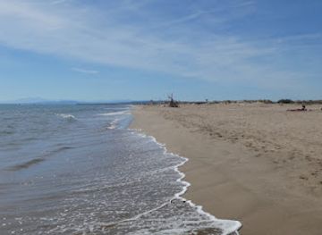france/languedoc-coast/attraction/plage-naturelle-des-orpellieres