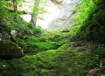 germany/eagle-s-nest/attraction/mausloch