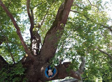 greece/samos/attraction/platine-von-nikoloudes