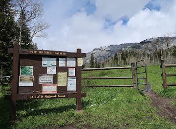 montana/gallatin-national-forest/attraction/tom-miner-campground