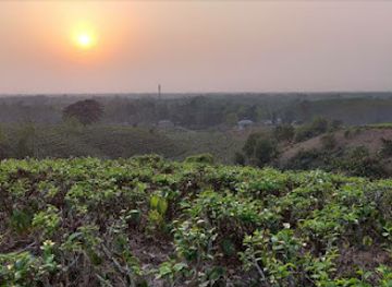 india/agartala/attraction/green-touch-view-point