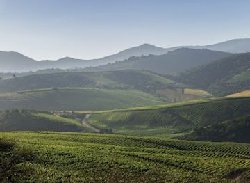 chile/aconcagua-valley/attraction/aconcagua-costa
