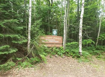 michigan/copper-harbor/attraction/estivant-pines-wilderness-nature-sanctuary