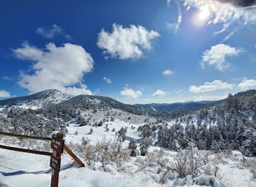 colorado/northern-colorado/attraction/centennial-cone-park-west-trailhead