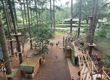 netherlands/veluwe/attraction/klimbos-garderen