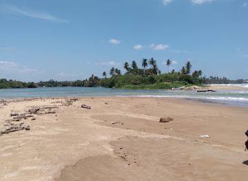 sri-lanka/matara-district/attraction/nilawala-estuary