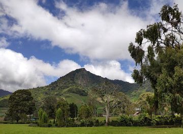 panama/volcan/attraction/haras-cerro-punta