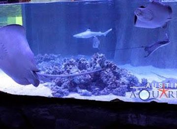texas/austin/attraction/austin-aquarium