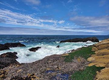 california/pismo-beach/attraction/morro-rock-beach