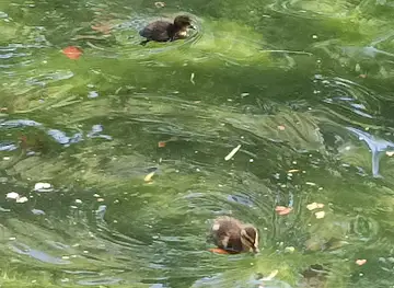 Federation Des Parcs Naturels De Wallonie