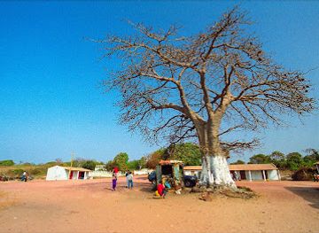 the-gambia/bijilo-forest-park/attraction/ghana-town-fisher-men-place