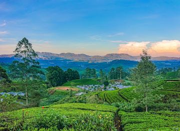 sri-lanka/nuwara-eliya/attraction/parakumpura-ella-falls