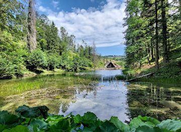 croatia/baranja/attraction/cogrljevo-jezero