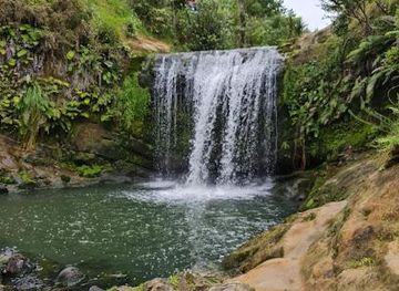 new-zealand/auckland/attraction/oakley-creek-walkway