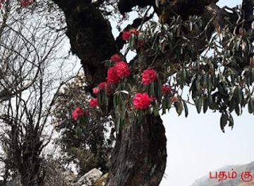 nepal/gorkha/attraction/mausah