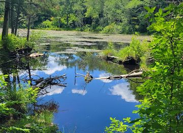 rhode-island/arcadia-management-area/attraction/fisherville-brook-wildlife-refuge-parking