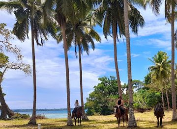 vanuatu/aniwa/attraction/santo-horse-adventures