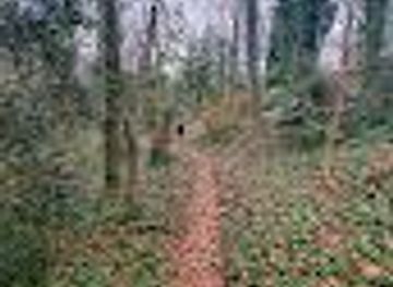 south-carolina/greer/attraction/fernwood-nature-trail