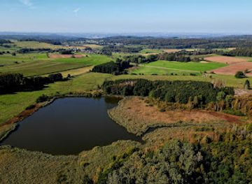 germany/westerwald/attraction/wolferlinger-weiher