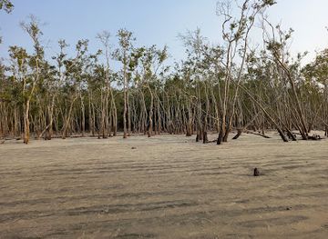 bangladesh/brahmaputra-jamuna-floodplain/attraction/jamtola-beach
