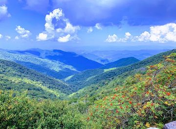 north-carolina/blue-ridge-mountains/attraction/craggy-gardens-visitor-center