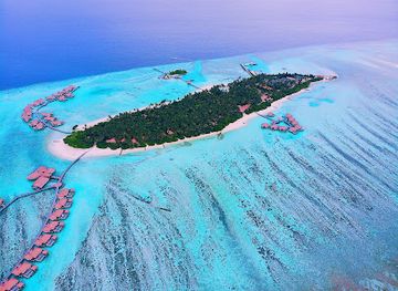 maldives/thaa-atoll/attraction/maalefushi