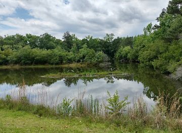 north-carolina/coastal-plain/attraction/north-carolina-museum-of-natural-sciences-contentnea-creek