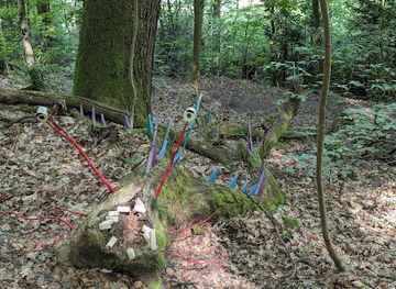 germany/heidelberg/attraction/kunstwerke-am-riesensteinweg