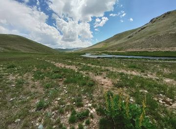 pakistan/deosai-national-park/attraction/sheosar-lake-view