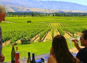 new-zealand/wanaka/attraction/wanaka-wine-tours