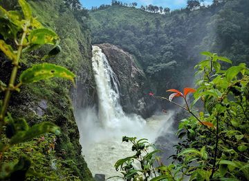 india/meghalaya/attraction/kshaid-langshiang-waterfalls