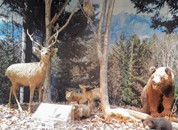 japan/hokkaido/attraction/furano-city-museum