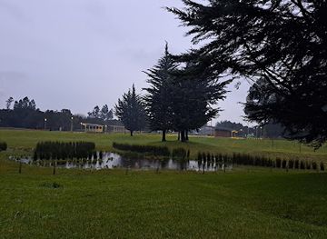 chile/temuco/attraction/cautin-island-urban-park