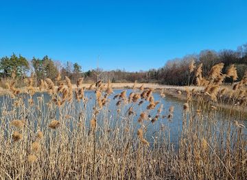 czechia/hradec-kralove/attraction/prirodni-pamatka-na-plachte