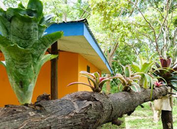 costa-rica/southern-zone/attraction/natuwa-wildlife-sanctuary
