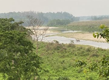 india/northern-plains/attraction/gorumara-national-park