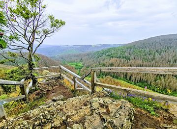 germany/harz-mountains/attraction/hahnenklee-crags