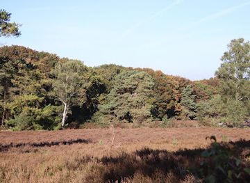 netherlands/sallandse-heuvelrug-national-park/attraction/startpunt-wandelroutes-holterberg