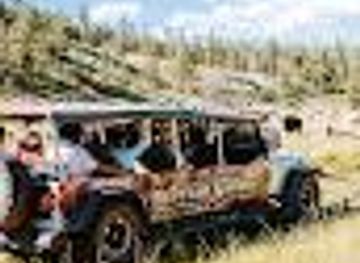 south-dakota/mount-rushmore/attraction/buffalo-safari-jeep-tours