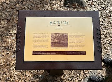 california/yosemite/attraction/indian-village-of-ahwahnee