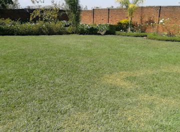 malawi/lilongwe/attraction/lilys-garden