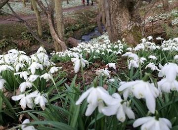 united-kingdom/dundee/attraction/cambo-gardens