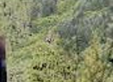 portugal/peneda-geres-national-park/attraction/fantasticable-end-point-fin-tirolina